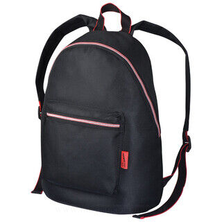 Backpack with a padded back zone