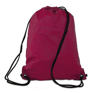 Stafford Drawstring Tote Backpack 14. picture